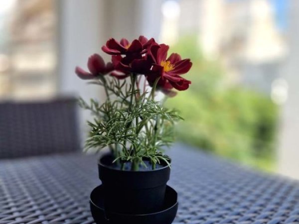 Facilities & Events